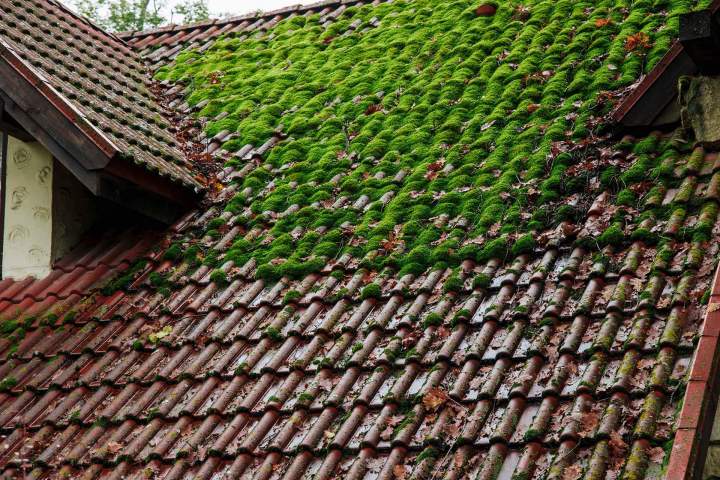 Toiture à rénover Vermelles